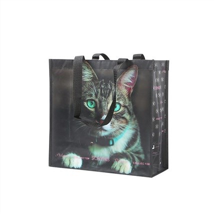 便宜的无纺布购物手提袋